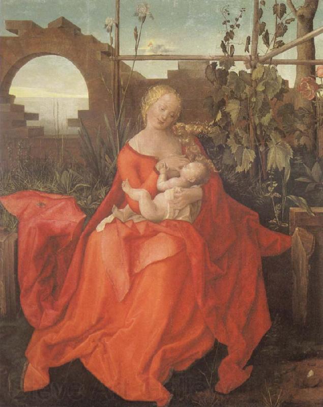 Albrecht Durer The Madonna with the Iris imitator of Albrecht Durer France oil painting art
